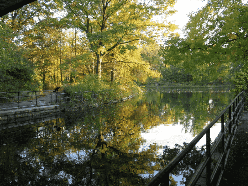 Parque Vondelpark em Amsterdã