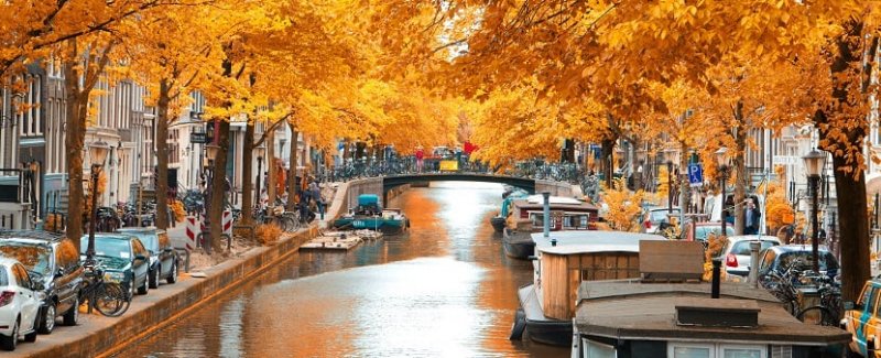 Outono e as folhas alaranjadas em Amsterdã